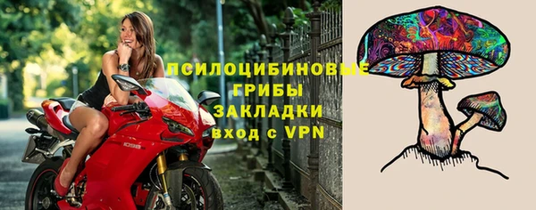 синтетический гашиш Белокуриха