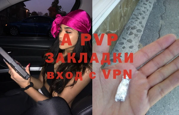 МДПВ Снежногорск